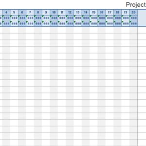 Project Schedule